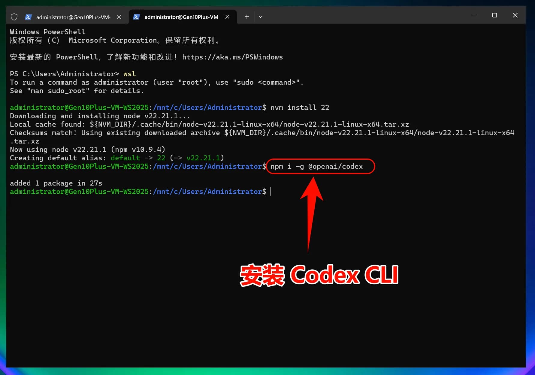 OpenAI Codex CLI | 词易Token